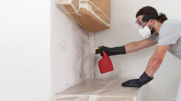 Professional Crawl Space Mold Remediation technician working in Hope Mills, NC
