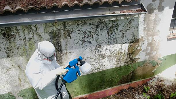 Top rated local Crawl Space Mold Remediation specialists in Hope Mills, NC